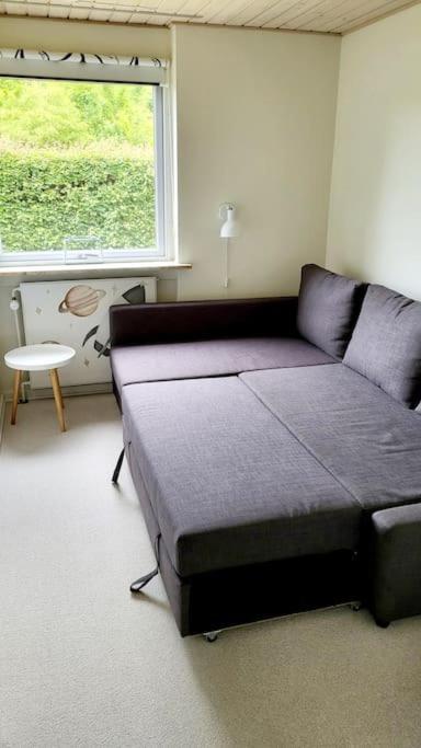 Willa Thuya Rica House Billund Zewnętrze zdjęcie